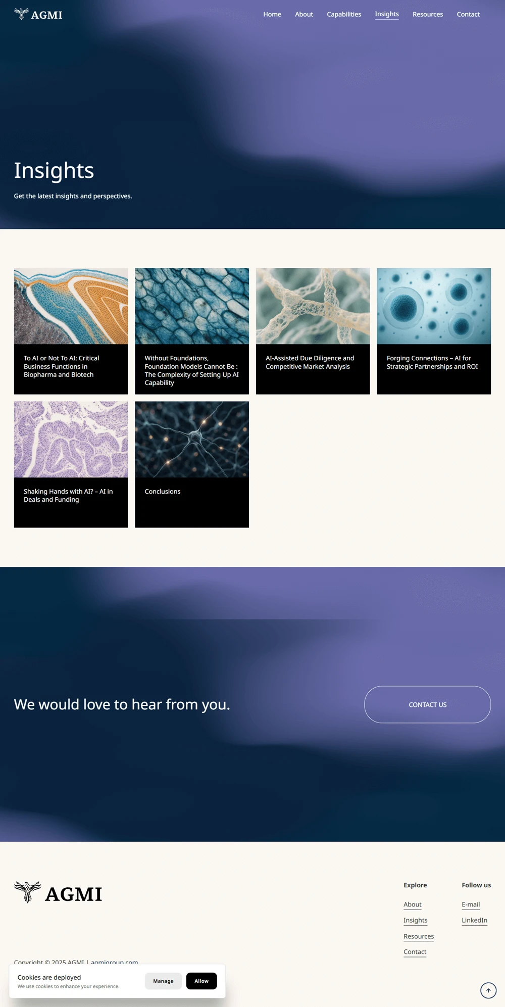 AGMI網站案例 Insight